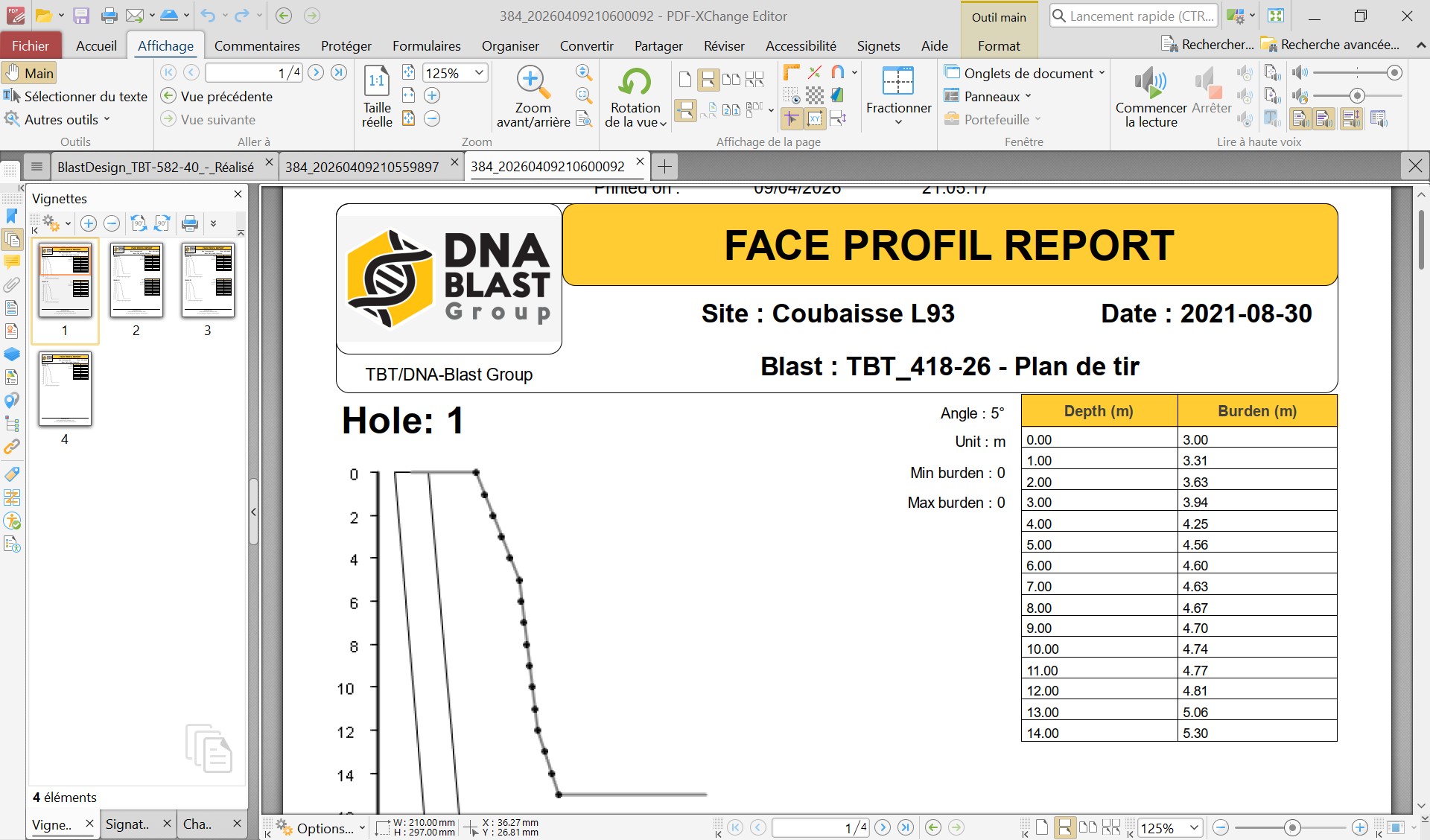 Profiles audit detail