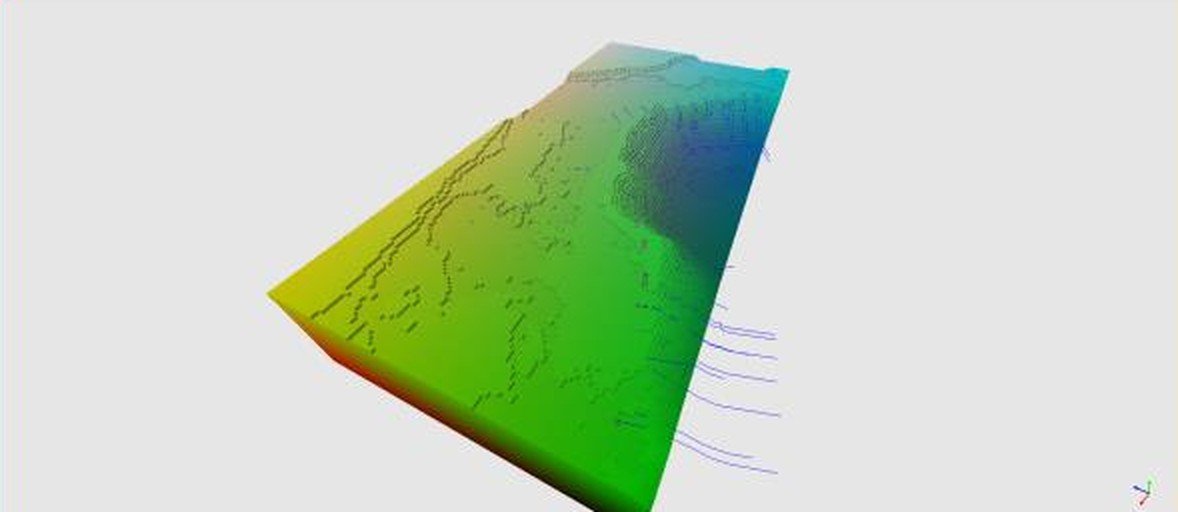 Modèle voxel construit à partir de la surface et des propriétés de roche